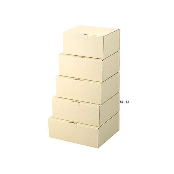 ヤマニパッケージ EE-163 宅送用ギフト箱 12cm 50枚(25×2) 1ケース(50枚入(25枚×2袋))（直送品）