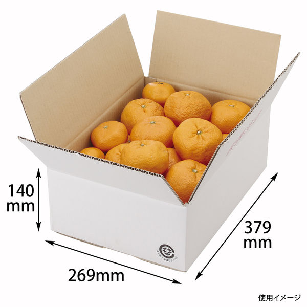 ヤマニパッケージ A式白4号 30枚 EE-303 1ケース(30枚入)（直送品）