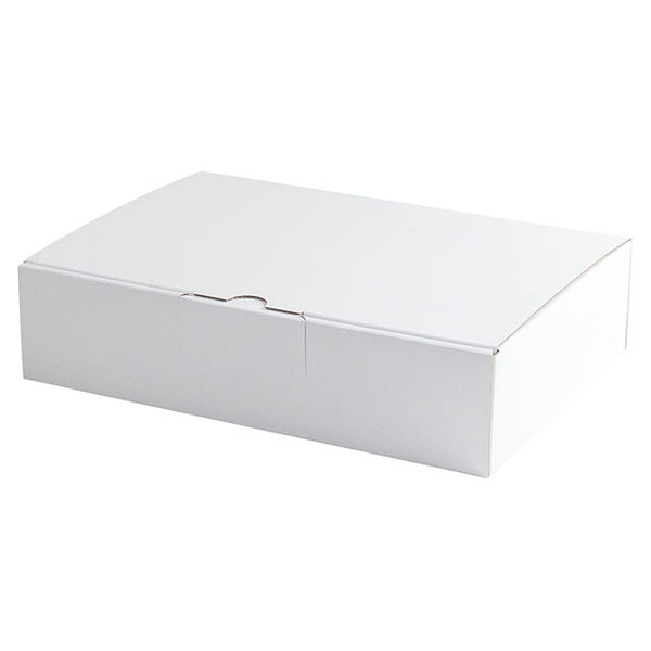 ヤマニパッケージ EE はっ水宅配箱