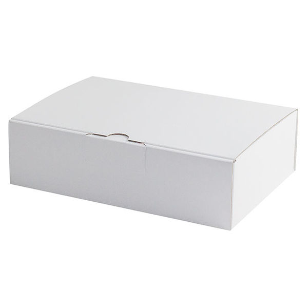 ヤマニパッケージ EE-61W はっ水宅配箱 6cm 200枚(50×4) 1ケース(200枚入(50枚×4袋))（直送品）