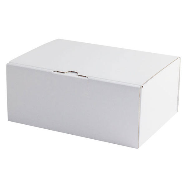 ヤマニパッケージ EE-91W はっ水宅配箱 9cm 100枚(10×10) 1ケース(100枚入(10枚×10袋))（直送品）