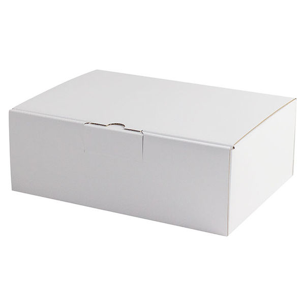 ヤマニパッケージ EE-92W はっ水宅配箱 9cm 100枚(10×10) 1ケース(100枚入(10枚×10袋))（直送品）