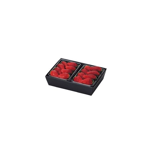 ヤマニパッケージ L-453 イチゴパック2P用 黒トレー　300枚(10×30)（直送品） 24,093円
