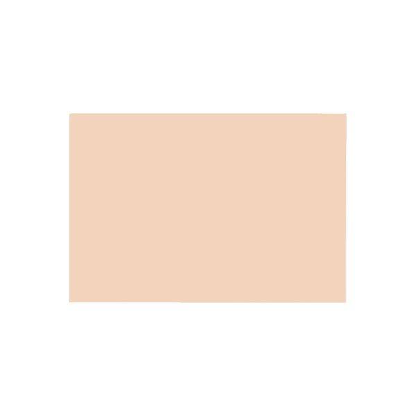 大王製紙 再生色画用紙 8ツ切10枚 うすだいだい 1セット(10冊)（直送品）