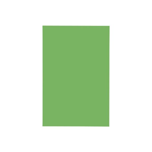 ジョインテックス マグネットシートワイドツヤ無緑B209J-G-10　1パック（直送品）