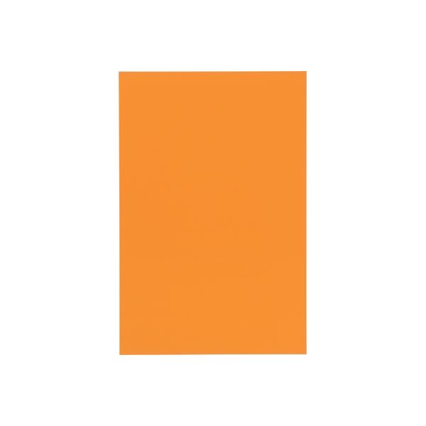 ジョインテックス マグネットシートワイドツヤ無橙B209J-O-10　1パック（直送品）