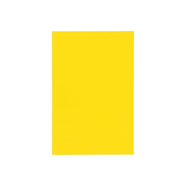 ジョインテックス マグネットシートワイドツヤ無黄B209J-Y-10　1パック（直送品）