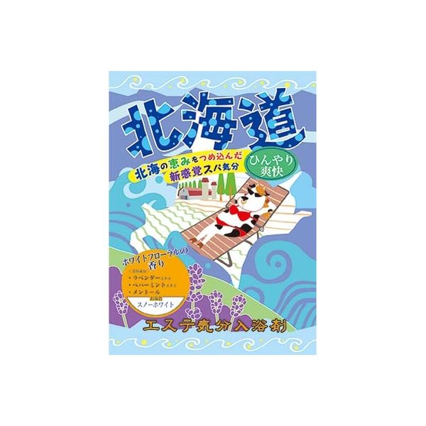 ヘルス エステ気分入浴剤 北海道 4976552040411 40G×48点セット（直送 