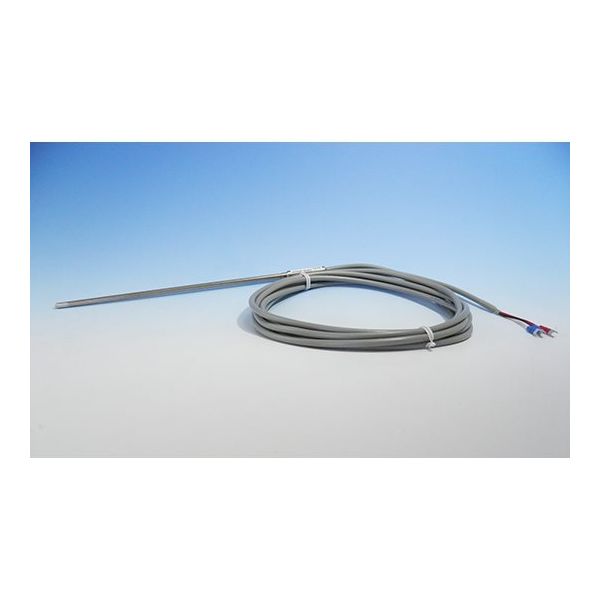 林電工 シース測温抵抗体 D-SR6-32-100 1本 63-4208-06（直送品）