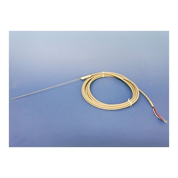 林電工 測温抵抗体 D-ER6-16-200 1本 63-4208-15（直送品）