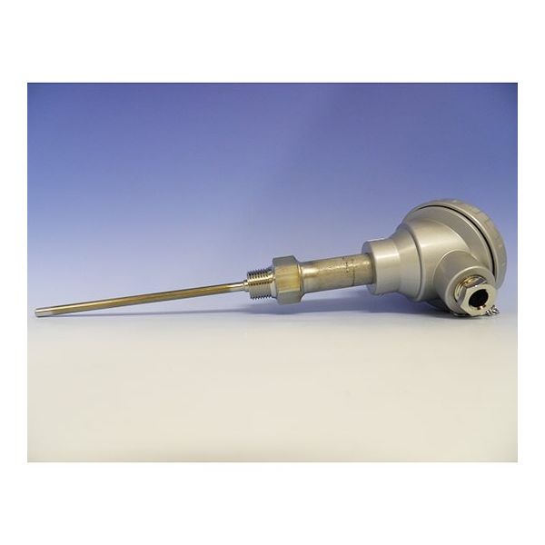 林電工 シース測温抵抗体 D-SR2N-80-100 1本 63-4208-24（直送品）