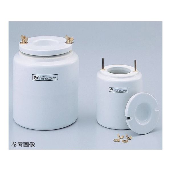 アズワン 取替用磁製ボール #300B 1箱 63-5521-10（直送品）