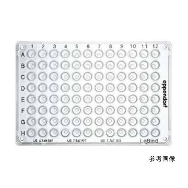 エッペンドルフ ツインテクPCRプレート384LoBind， スカート カラーレス 0030 129.547 1式(25枚)（直送品）