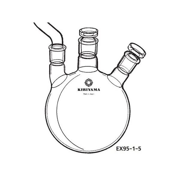 桐山製作所 試料フラスコ 20000mL EX95-1-9 1個 64-1069-96（直送品）