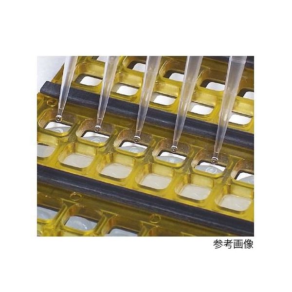 GVS FASTスライド 培養チェンバー シングルウェル 53×22mm 10486137 1箱(10個) 64-3317-17（直送品）