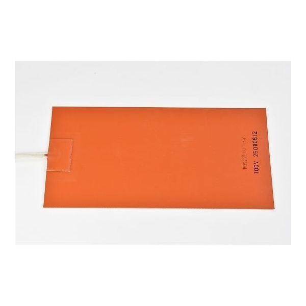 SR100-250-125-250-P-L1（直送品）