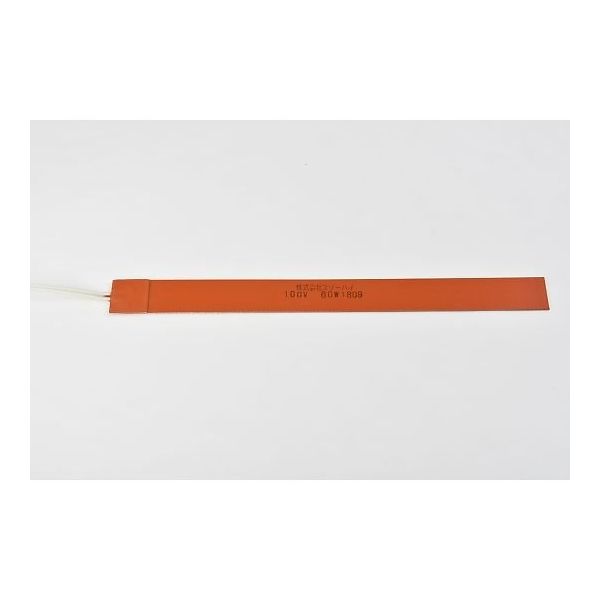 SR100-60-25-300-P-L10（直送品）