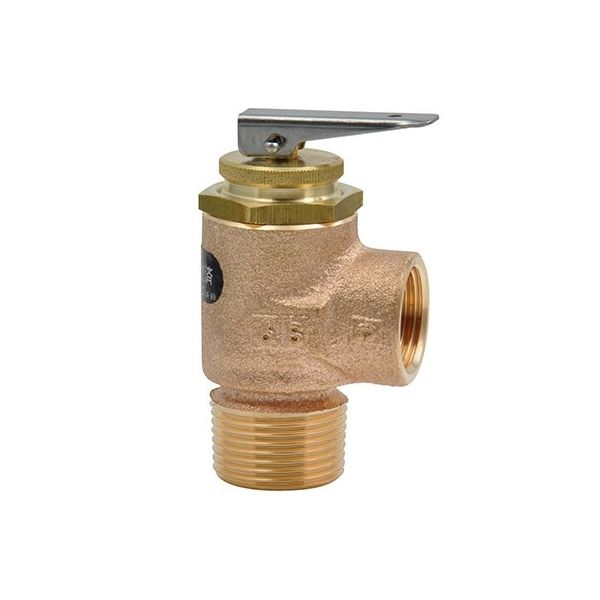 ヨシタケ 温水機器用逃シ弁 95KPa・ネジ込・ディスクタイプ AL-50-95-20A 1個 64-3830-03（直送品）