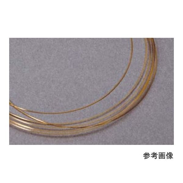 IDEX フューズドシリカチュービング 100μm×360μm×2m FS-110 1個 64-3955-19（直送品）