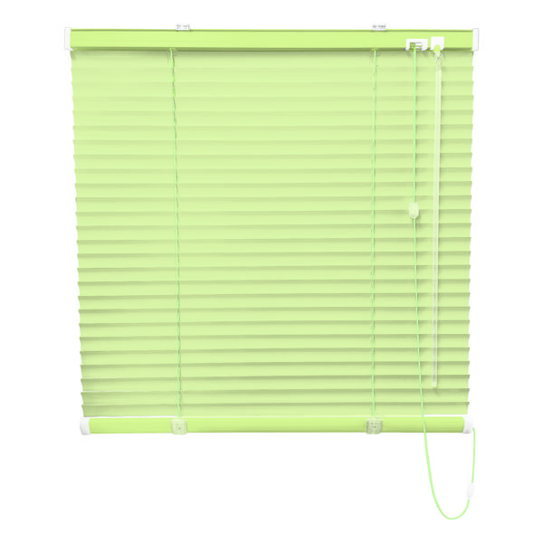 立川機工 FIRSTAGE ファーステージ ブラインド 浴室 1250×1000mm スカイグリーン TK-5129 1台（直送品） 11,034円