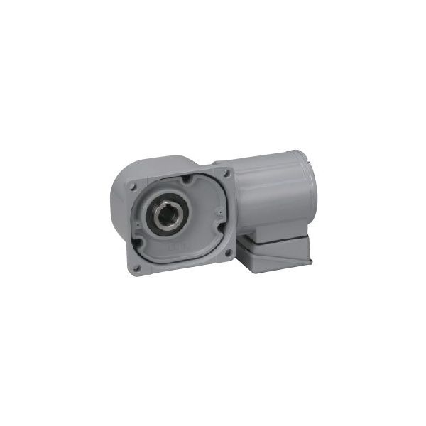 ニッセイ ギアモータ FFMNー18Lー10ーT50WA 1台（直送品）