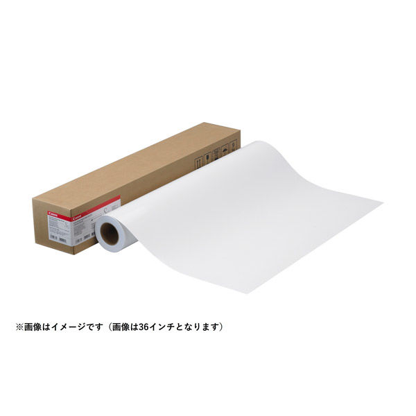 キヤノン フォト半光沢紙ＨＧ（厚口）LFM-SGH/42/255　1箱（取寄品）