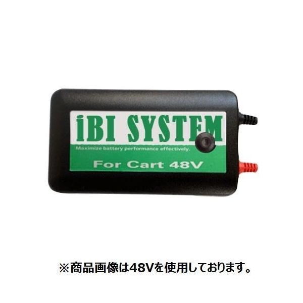 搬送機・床洗浄機・電動式手押しカートなど 鉛バッテリー延命装置 iBI SYSTEM iBI-D24V IBI-D24V（直送品）