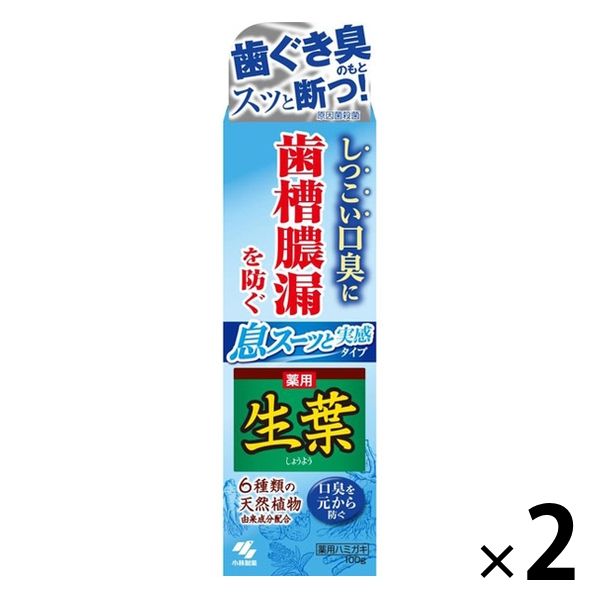 生葉(しょうよう)息スーッと実感タイプ 100g 10個セット - 歯磨き粉