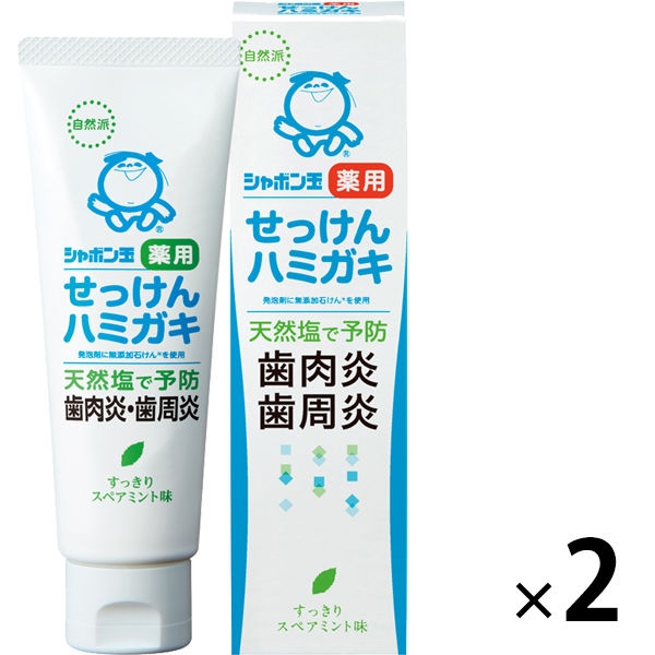 シャボン玉 薬用 せっけんハミガキ 薬用ハミガキS 80g 1セット（2本） シャボン玉石けん 歯磨き粉