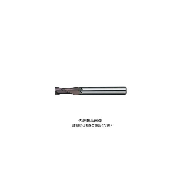 日進工具 無限リード30エンドミル 2枚刃 MX230φ0.1X0.2 08-00030-00010 1本（直送品）
