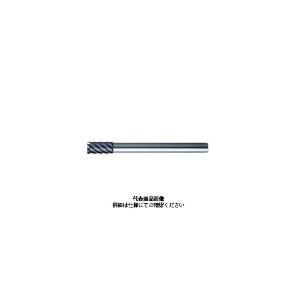 MOLDINO エポック21 CEPLS6200ー16 1本（直送品）