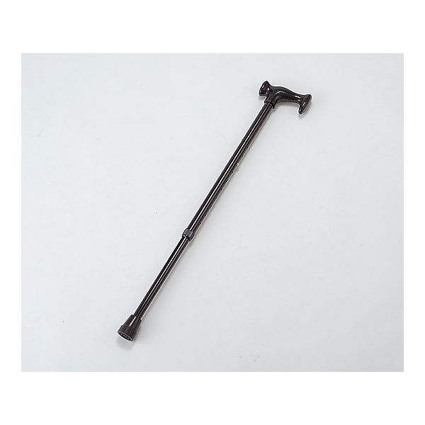 アズワン Fグリップステッキ (伸縮式) PW255 1セット(2本) 0-8064-01（直送品）