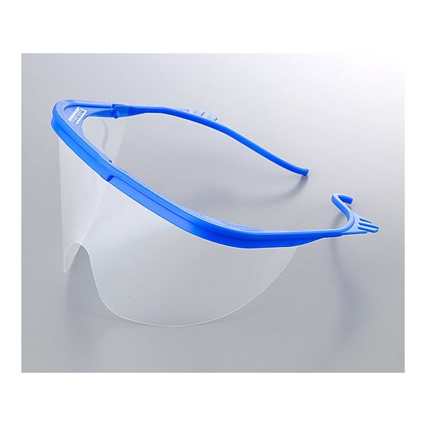メディコムジャパン 保護メガネ 2900 1セット(2個:1個×2箱) 8-4918-01（直送品）