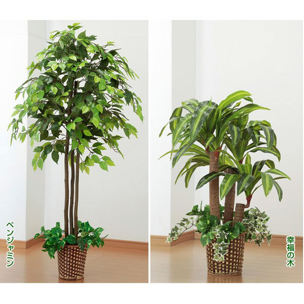 ファミリー・ライフ 人工観葉植物ベンジャミン＆幸福の木2個セット
