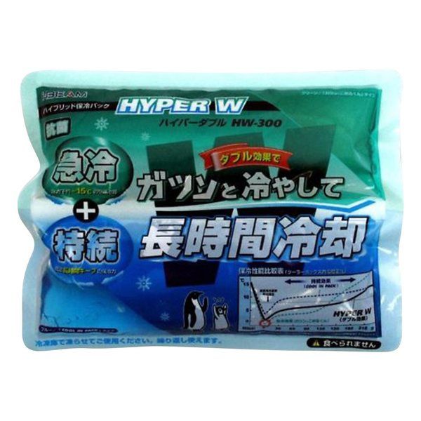 JEJアステージ 氷温パック 0.3kg ハイパーW 1セット(10個) 1-8650-06（直送品）