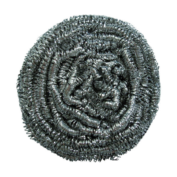 トラスコ中山 TRUSCO ステンレスたわし 60g 10個入 TSTB60-10 1袋(10個) 767-9521（直送品）