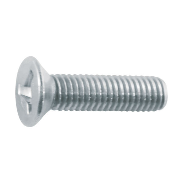 トライウイング皿頭小ねじ（ステンレス）