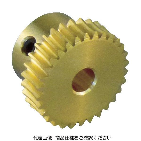 協育歯車工業 KG ウォームギヤ モジュール0.5 黄銅 G50B50-P-R1 1個 756-4694（直送品）