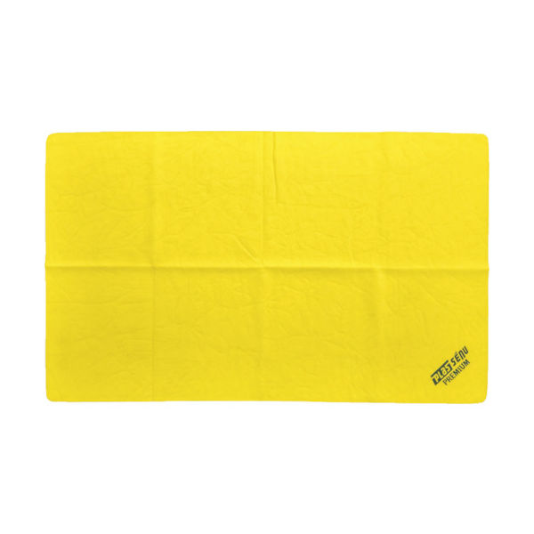 アイオン AION プラスセーヌ ボディ&ガラス レギュラー2枚セット R307-TK 1セット(2枚) 497-3917（直送品）