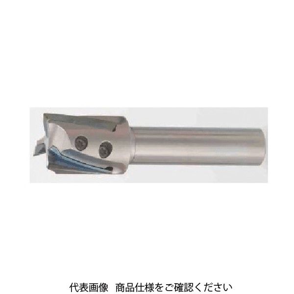 タンガロイ ハイブリッド・タック・ミル 柄付きカッタ EPH EPH11R010M06.0-2 1個 703-5268（直送品）