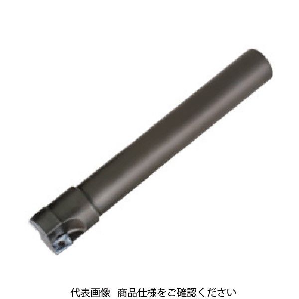 タンガロイ タング・ミル 柄付きカッタ EPS17 EPS17030RSB 1個 350-8331（直送品）