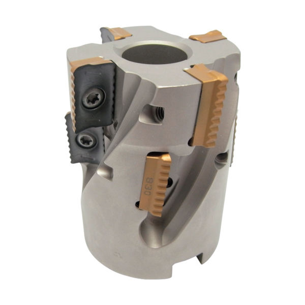 シュレッドミルP290 シェルミル P290 SM 刃径63mm シャンク径27mm D063-05-53-27-18 1個(1本)（直送品）