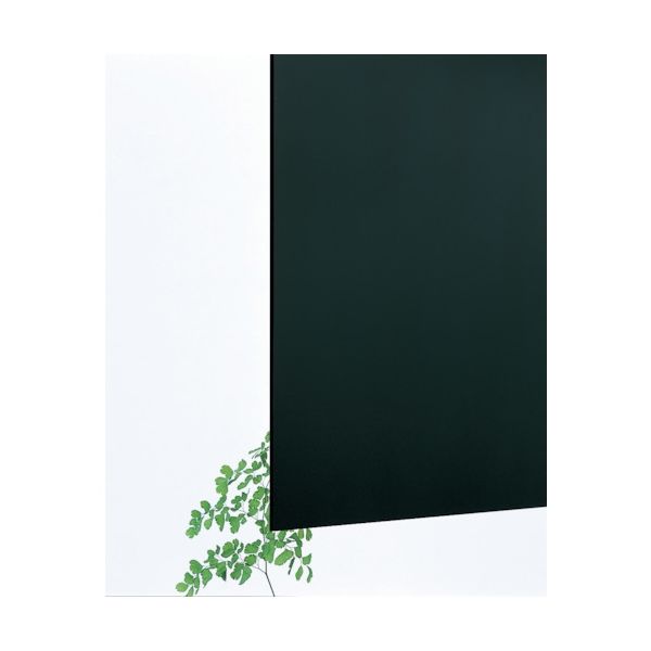 あるきたろう　4枚　色紙額（273×242㎜）　鉄黒　アクリル あるきたろう 4枚 色紙額（273×242㎜） 鉄黒 アクリル Amazon.co