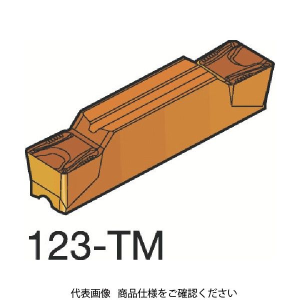 サンドビック コロカット2 突切り・溝入れチップ N123K2-0600-0008-TM H13A 608-0812（直送品）