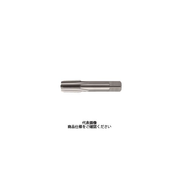 彌満和製作所 PTハンドタップCT 2 SーPT 1/4 ー 19 CT S-PT - 1本（直送品）