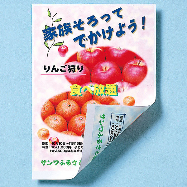 サンワサプライ　インクジェット用両面印刷紙・厚手　JP-ERV5NA3　1セット（3冊入）　（直送品）