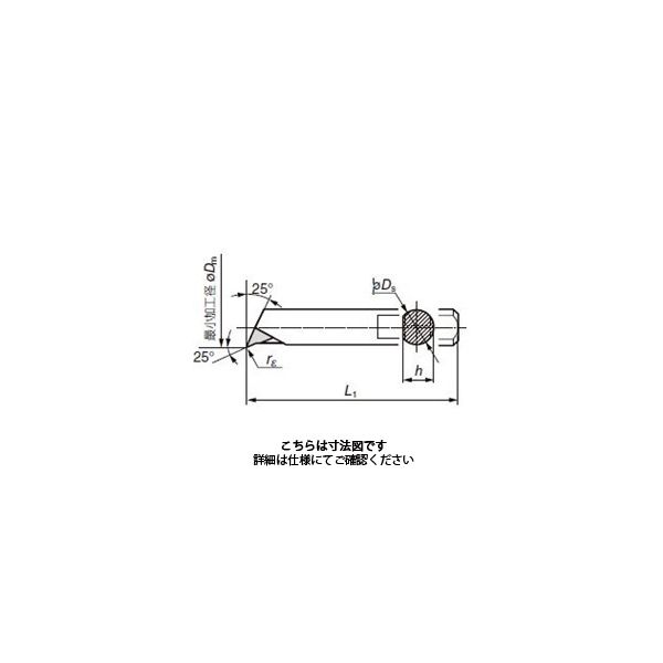 住友電工ハードメタル スミダイヤバイト DABB025NR:DA2200 1本（直送品）