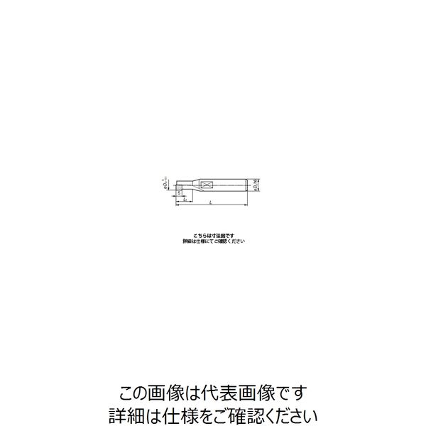 住友電工ハードメタル スミダイヤエンドミル DAE1050:DA200 1本（直送品）