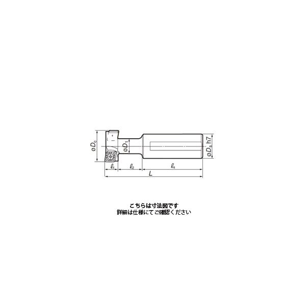 住友電工ハードメタル SEC-TスロットエンドミルTSE型 TSE2125 1本（直送品）