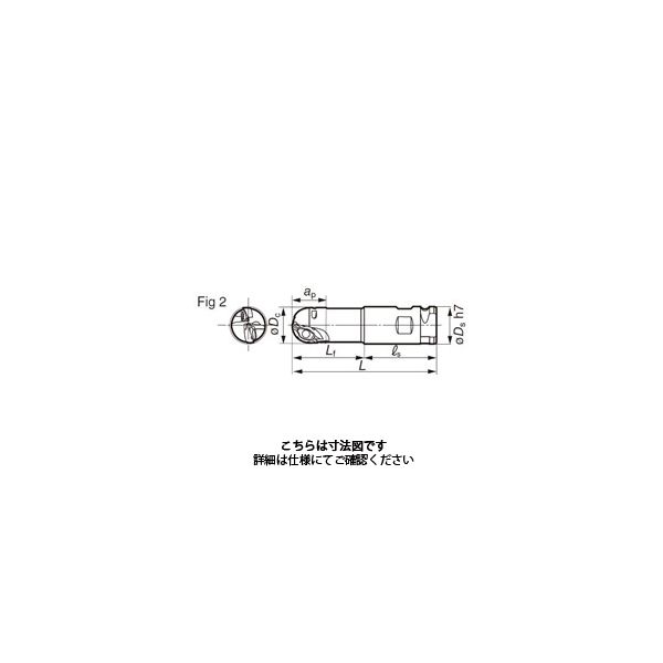 住友電工ハードメタル SEC-ウェーブボール WBMR2500L-C 1本（直送品）